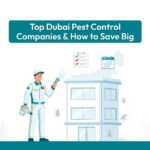 top dubai pest control companies how to save
