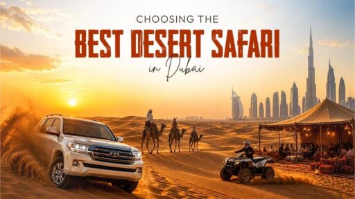 choosing the best desert safari in dubai