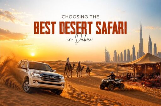 choosing the best desert safari in dubai