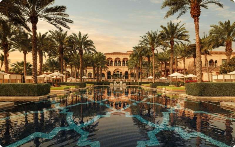 one and only the palm